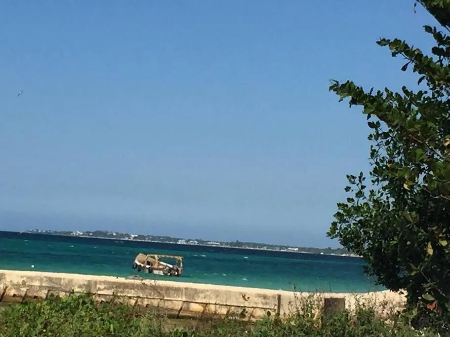 Irie Vibes By The Beach 네그릴 0*,